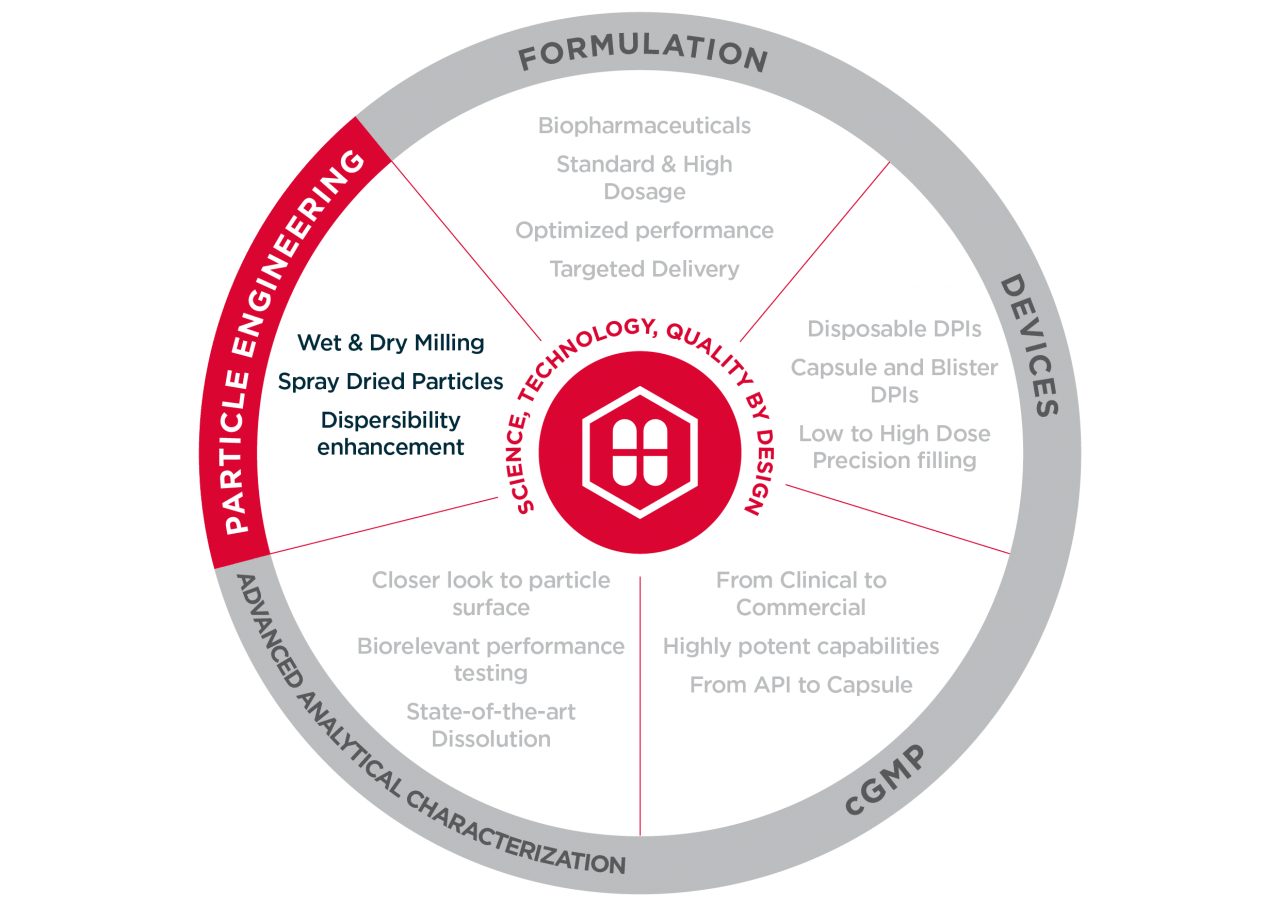 Biopharmaceuticals Spray Drying Inhalation Drug Product wheel | Hovione