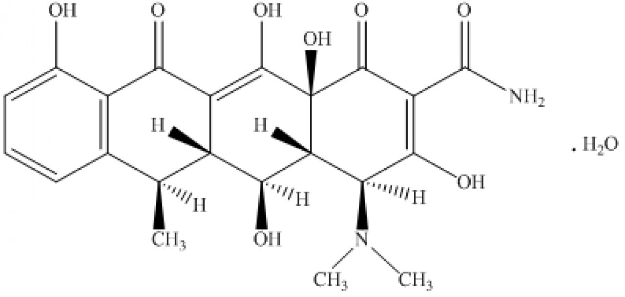 Doxycycline Monohydrate| Hovione