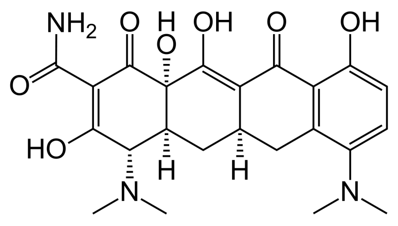 API Product: Minocycline Hydrochloride | Hovione
