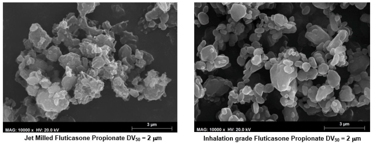 fluticasone, inhalation formulations development, APIs for Inhalation | Hovione